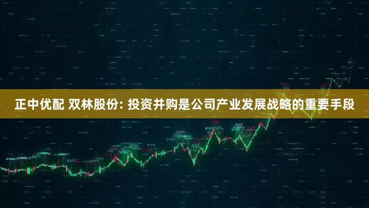 正中优配 双林股份: 投资并购是公司产业发展战略的重要手段