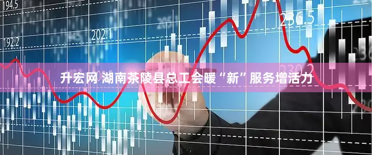升宏网 湖南茶陵县总工会暖“新”服务增活力