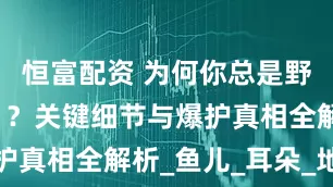 恒富配资 为何你总是野钓“空军”？关键细节与爆护真相全解析_鱼儿_耳朵_地方