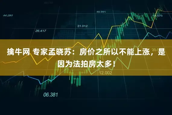擒牛网 专家孟晓苏：房价之所以不能上涨，是因为法拍房太多！