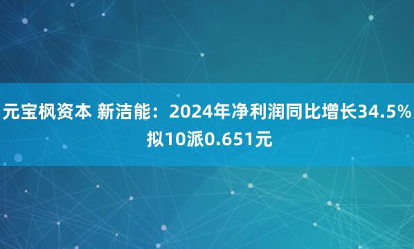 元宝枫资本 新洁能：2024年净利润同比增长34.5% 拟10派0.651元